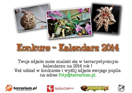 Konkurs - Kalendarz 2014