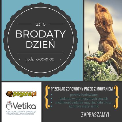 Brodaty Dzień w Przychodni Vetika w Krakowie 